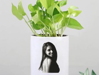 MONEY PLANT WITH SUBLIMATION POT